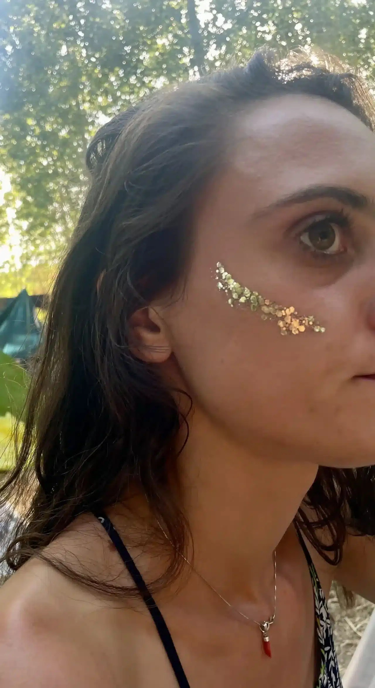 Paillettes dorées sur pommettes